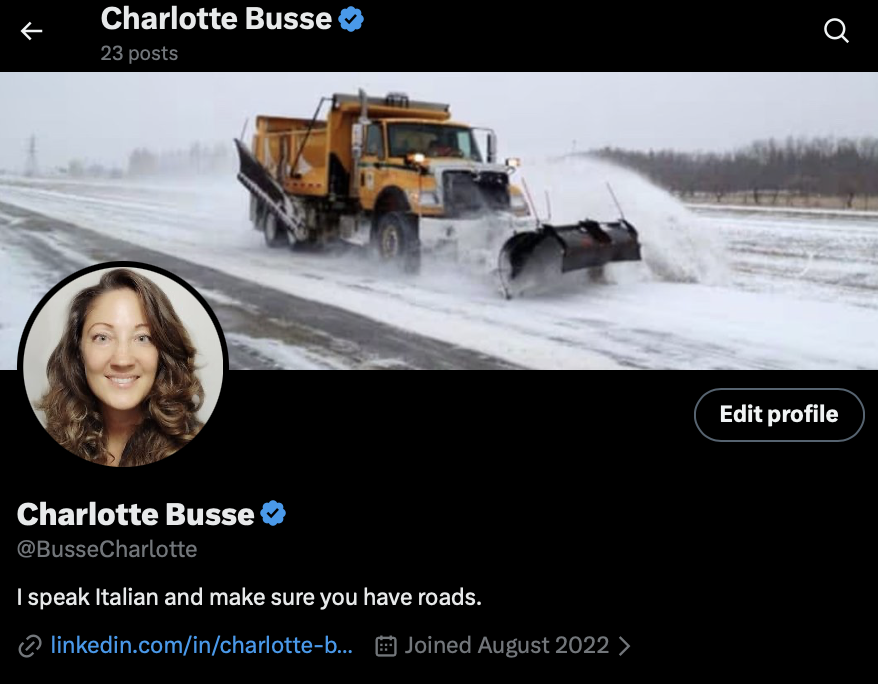 X (Twitter) profile screenshot for Charlotte Busse @BusseCharlotte — portrait and snowplow header image
